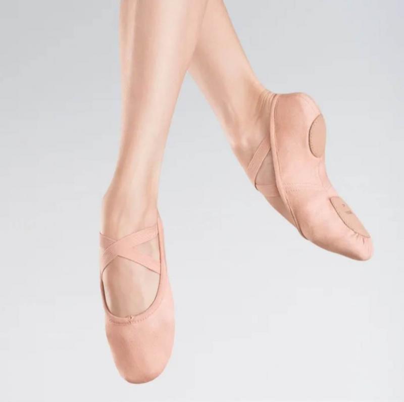 bloch zenith